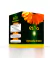 Creme de Calêndula (Calendula Cream) 40 ml