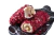 Delicias turcas envueltas en safranbolu - SFRN006 - tienda online