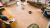 Miele Scout RX3 Runner - Robot aspirador SPQL A129HA957 - comprar online