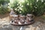 Turkish Copper Jug and Cup Set for 6 People / SN0824 on internet