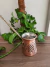 Pote de Cafe Turca Ultra Cobre Estilo Otomano / SN040 - comprar online
