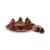 Tazas de café turco de cobre para 6 personas / SN075 - Sea And Cherry