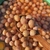 Turkish Green Olives - Special Aegean Region - buy online