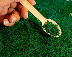 Banner de la categoría Spirulina en Hebras