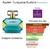 Perfumes Eudora 4ml - versão amostra