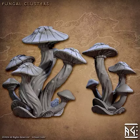 Aglomerados de fungos