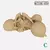 Zeek Eggs - loja online