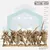 Sylvan Knights - comprar online