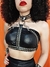 Harness Plasmatics