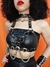 Harness Chained