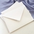 Envelope Modelo BICO - PRONTA ENTREGA