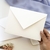 Envelope Modelo BICO - PRONTA ENTREGA - comprar online