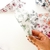 Cone para Pétala de Rosas Papel vegetal na internet