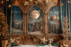 NAVIDAD - VENTANALES