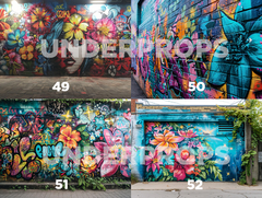 GRAFFITIS - URBANOS - comprar online