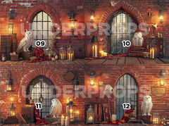 HARRY POTTER - tienda online