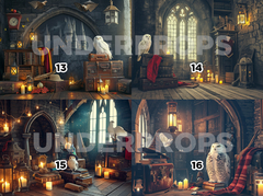 HARRY POTTER - tienda online