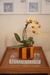CACHEPOT SAVANA - comprar online