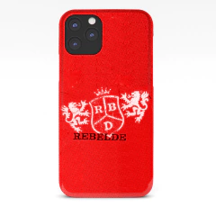 CASE REBELDE y RBD