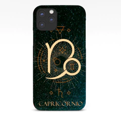 CASE Capricórnio