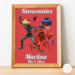 LadyBug, Miraculus - Arma Tu Fiesta Kits 