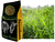 1kg Sementes de brachiaria decumbens