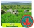 2kg Sementes incrustadas de brachiaria Piatã - comprar online