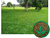 2kg Sementes incrustadas de grama batatais para jardim ou campos de futebol grama de pasto (grama mato grosso) - Sementes Nascimento