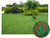 5kg Sementes incrustadas de grama batatais para jardim ou campos de futebol grama de pasto (grama mato grosso) - loja online