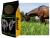 20kg Sementes de capim massai - comprar online