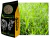 1kg Sementes de Brachiaria Humidicola quicuio