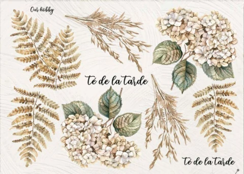 Transfolex plancha (OH052) - comprar online