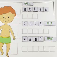 Cuerpo Humano - comprar online
