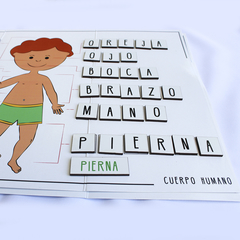 Cuerpo Humano en internet