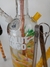 Narguila "EcoNargui" Absolut Mango - EcoNargui