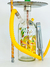 Narguila "EcoNargui" Absolut Mango - comprar online