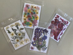 Flores secas, desidratadas, para resina epóxi e artesanato em geral