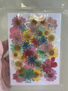 Flores secas, desidratadas, para resina epóxi e artesanato em geral - loja online