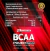 Bcaa Power 1200 - 60 Caps - Ultra Concentrada na internet