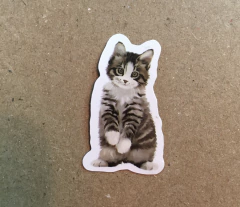 STICKERS LOVE CAT/GATO (SERIE B ) C/U en internet