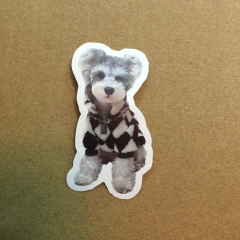 STICKERS AUTOADHESIVO DOG FASHION (SERIE C ) C/U - tienda online