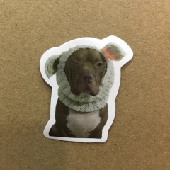 STICKERS DOG (SERIE E ) C/U - tienda online