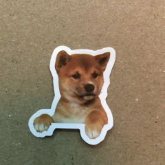 STICKERS DOG (SERIE B ) C/U - tienda online