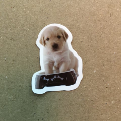 STICKERS DOG (SERIE B ) C/U - comprar online