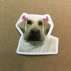 STICKERS DOG (SERIE E ) C/U - MR & MRS TEACUP