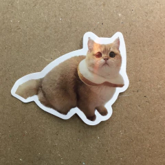 Imagen de STICKERS GATITOS SWEETY (SERIE G) C/U