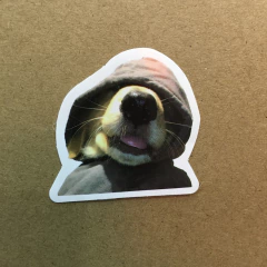 STICKERS DOG (SERIE E ) C/U