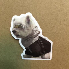 STICKERS AUTOADHESIVO DOG FASHION (SERIE C ) C/U - comprar online