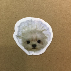 STICKERS DOG (SERIE E ) C/U - tienda online