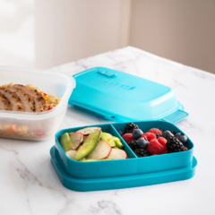 VIANDA BENTO BOX TRUDEAU - comprar online